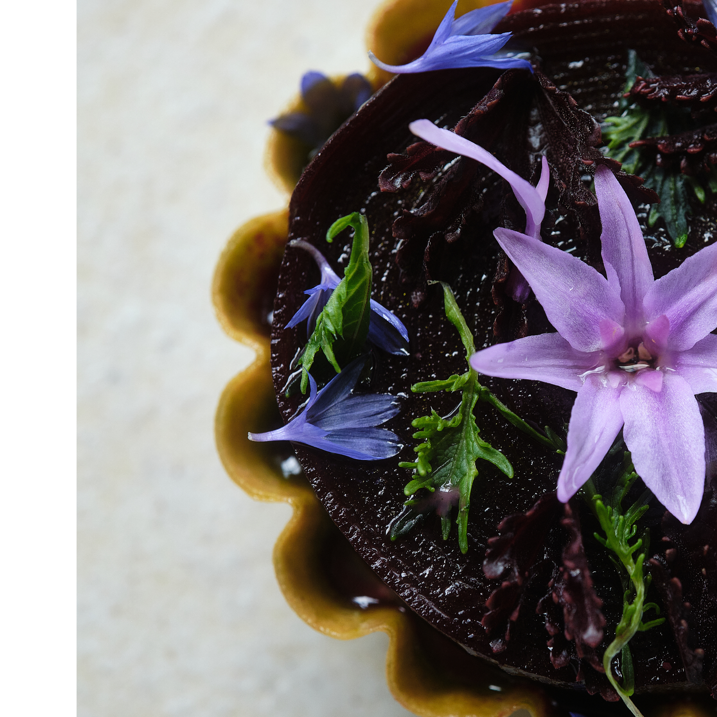 Discovery Epicurean Edition by Alan Dawes & Gavin Wraith (EBOOK)